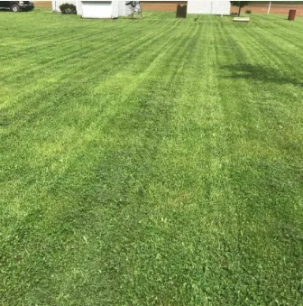 Top-rated landscaping services with custom design across Adrian, MI - Marsh Professional Lawncare