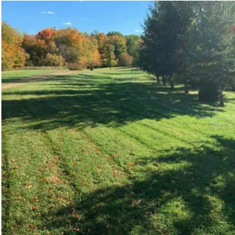 Professional yard maintenance with custom design in Adrian, MI by Marsh Professional Lawncare