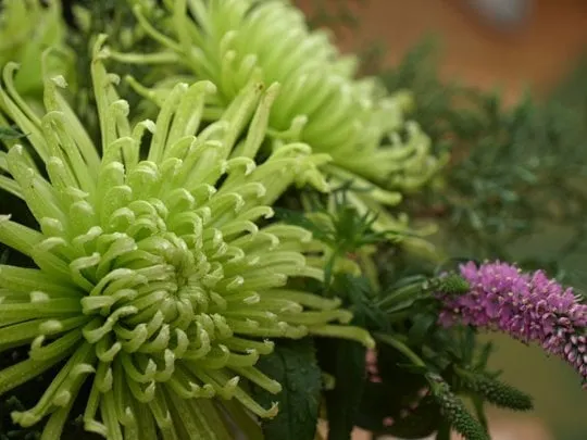 Trusted lawn mowing service for residential properties across Adrian, MI - Marsh Professional Lawncare