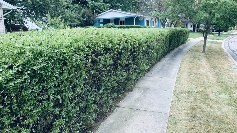 Custom residential landscaping in Adrian, MI by Marsh Professional Lawncare