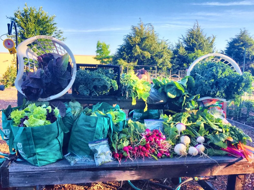 Affordable garden landscaping in Colleyville, TX - Marshall Grain Company