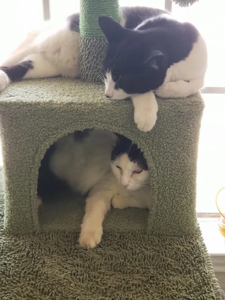 Top-rated lawn care service in Colleyville, TX by Marshall Grain Company