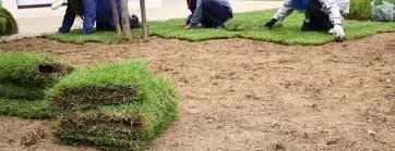 Trusted yard maintenance in Marshall, TX by Marshall Lawn & Landscape