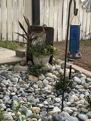 Marshall Lawn & Landscape