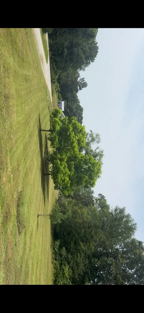 Trusted yard cleanup service in Greenwood, SC by Marshall Lawn Care Services