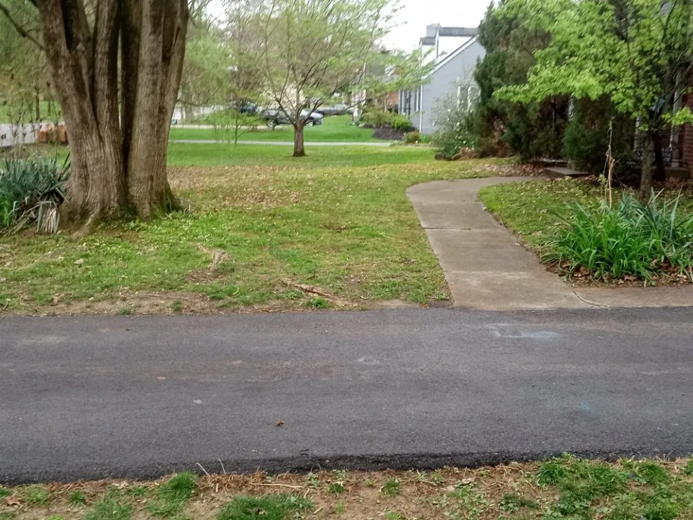 Trusted yard maintenance experts serving shepherdville, KY - Marshall Mowing