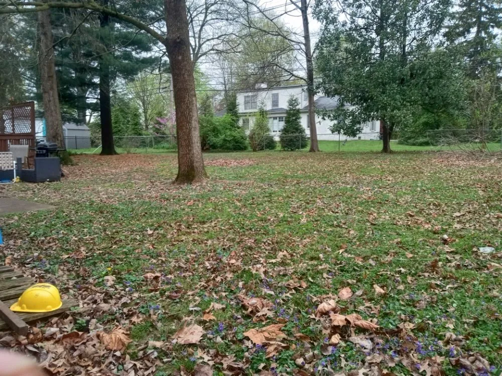 Custom yard maintenance experts serving shepherdville, KY - Marshall Mowing