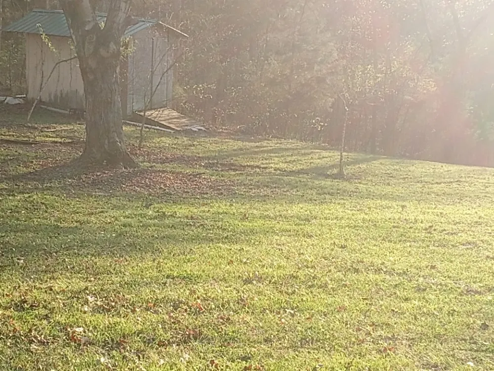 Local landscape installation for residential properties across shepherdville, KY - Marshall Mowing