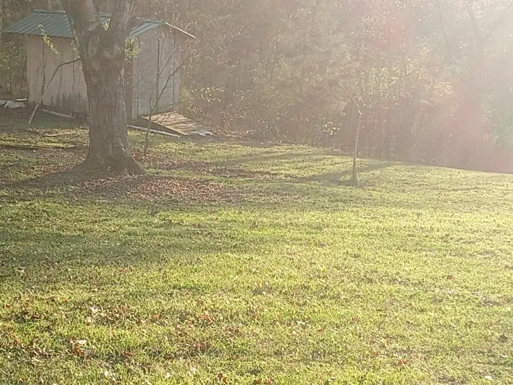 Top-rated lawn care service in shepherdville, KY - Marshall Mowing