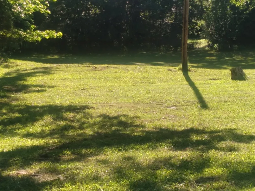 Professional outdoor landscaping in shepherdville, KY by Marshall Mowing