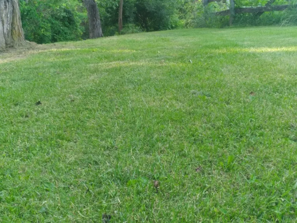 Professional residential landscaping for residential properties across shepherdville, KY - Marshall Mowing