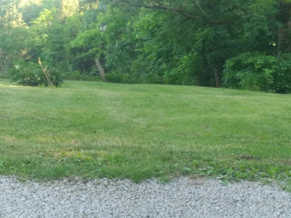 Reliable lawn care service experts serving shepherdville, KY - Marshall Mowing