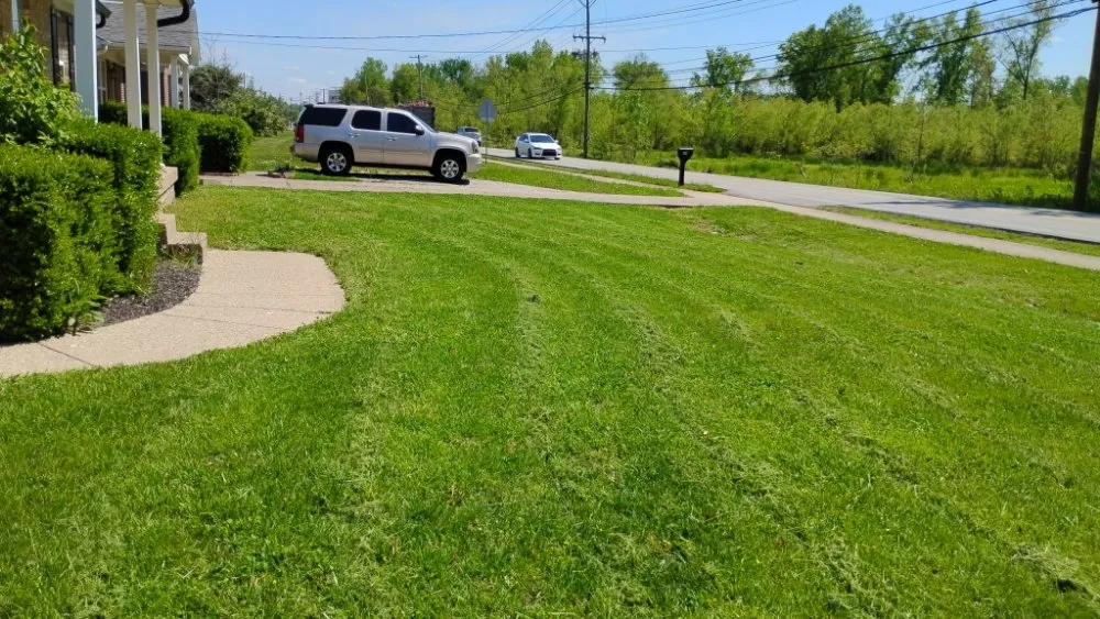 Top-rated lawn mowing service experts serving shepherdville, KY - Marshall Mowing
