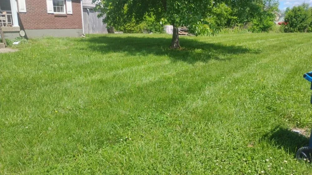 Reliable landscaping services experts serving shepherdville, KY - Marshall Mowing