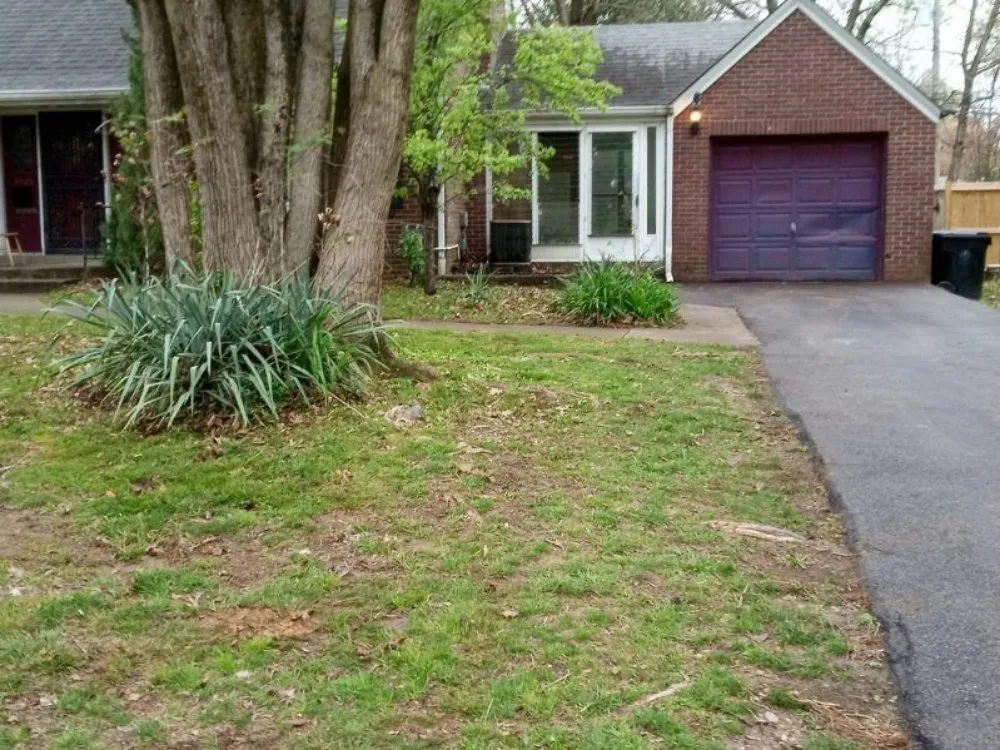 Affordable garden landscaping for year-round maintenance across shepherdville, KY - Marshall Mowing
