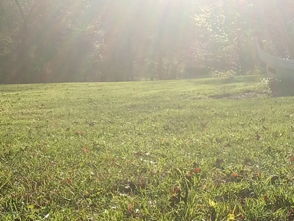Local lawn care service experts serving shepherdville, KY - Marshall Mowing