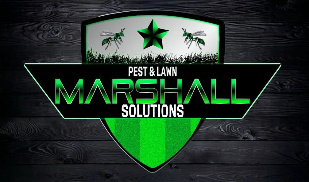 Trusted outdoor landscaping with custom design in East Providence, RI by Marshall Pest & Lawn Solutions