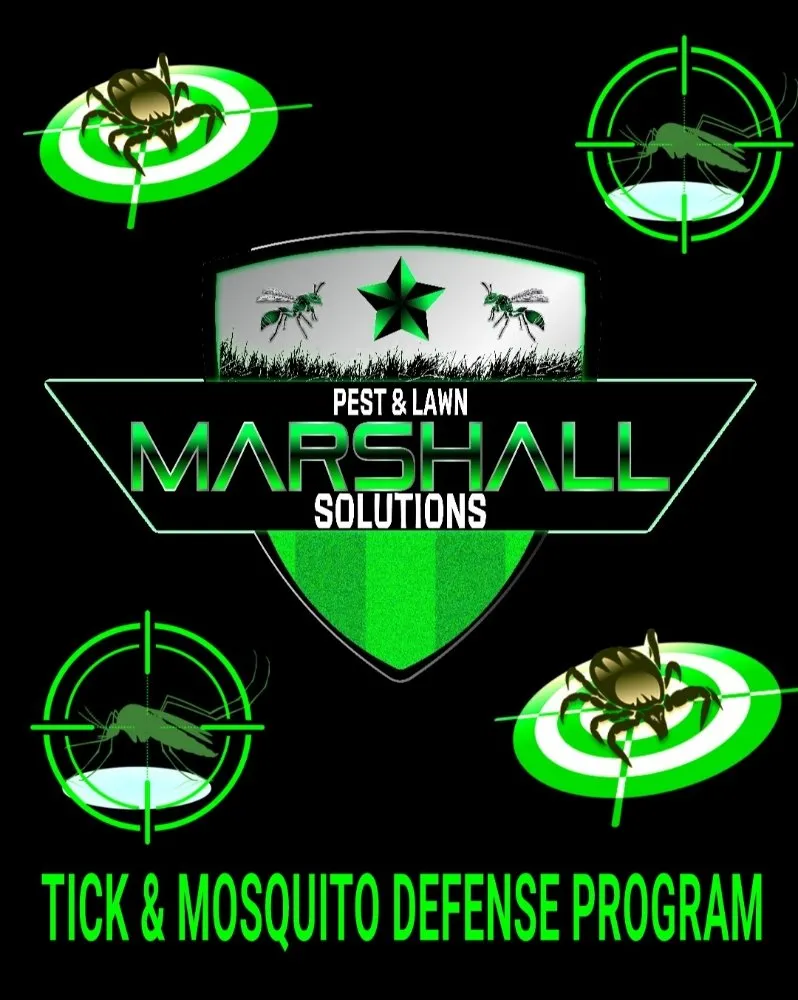 Trusted outdoor landscaping in East Providence, RI by Marshall Pest & Lawn Solutions