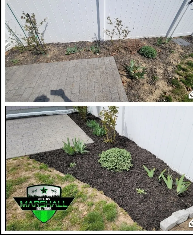 Trusted yard maintenance in East Providence, RI - Marshall Pest & Lawn Solutions