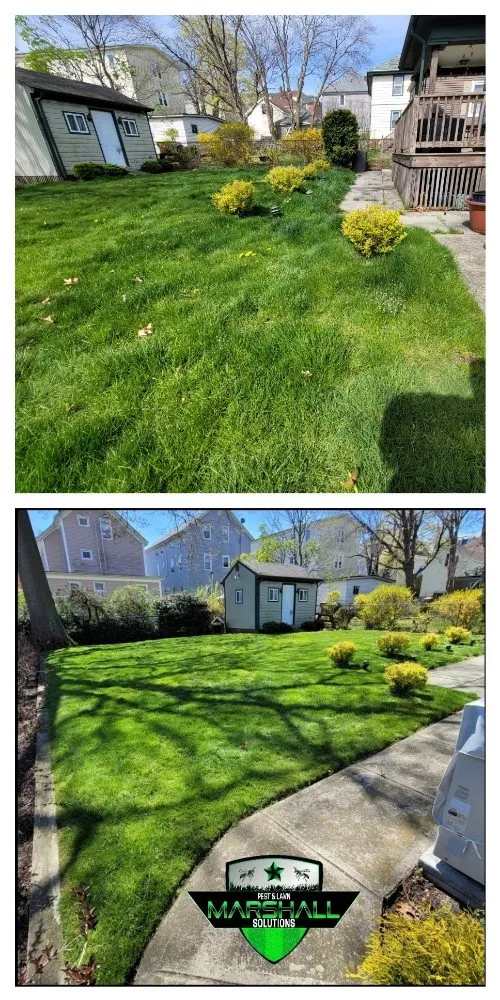 Reliable landscaping services with custom design in East Providence, RI by Marshall Pest & Lawn Solutions