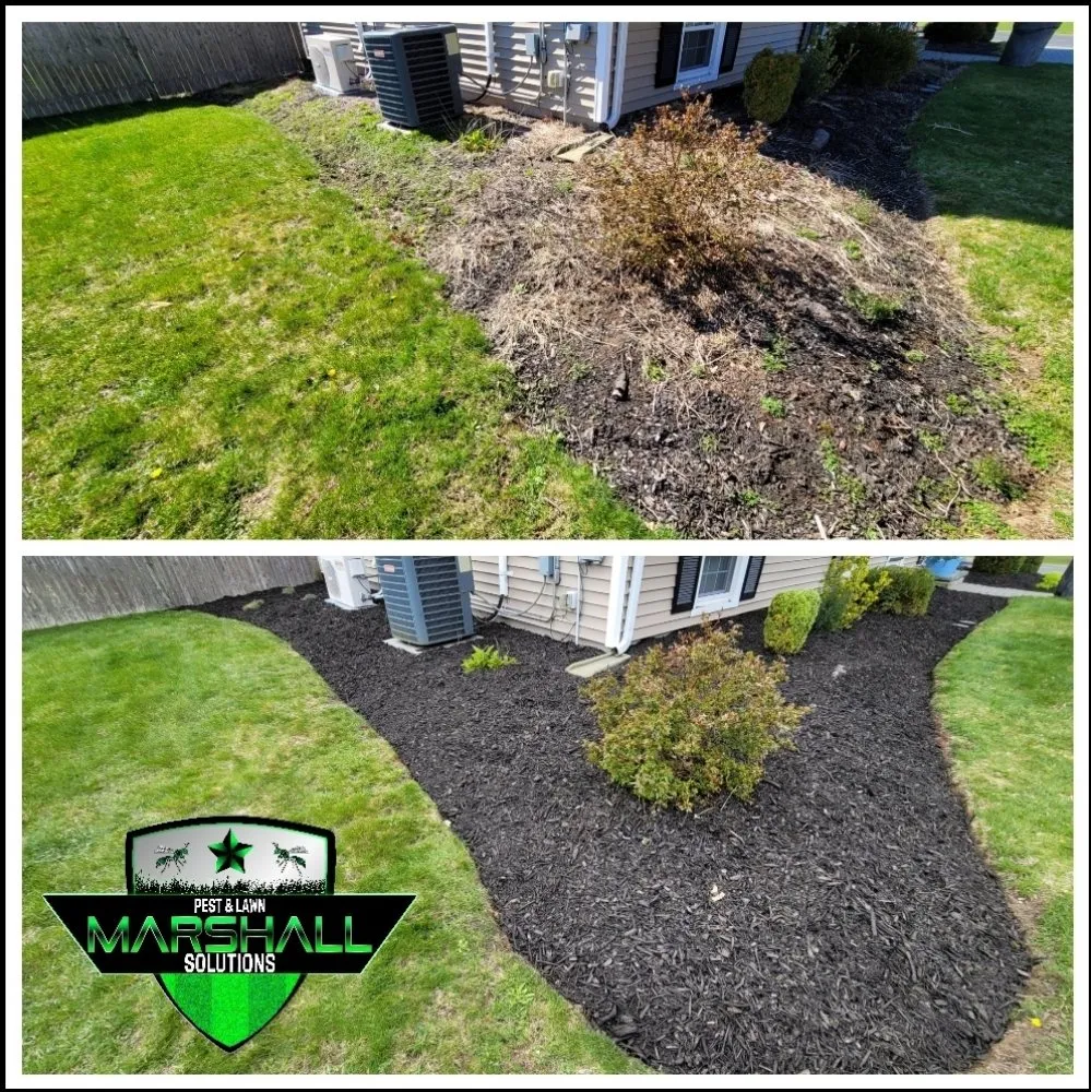Expert yard cleanup service for beautiful yards in East Providence, RI by Marshall Pest & Lawn Solutions