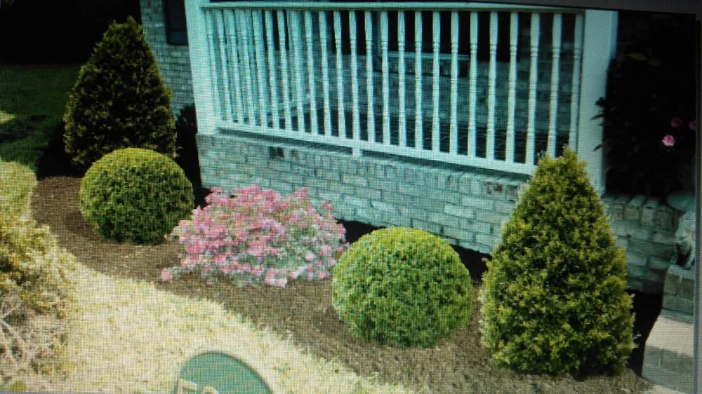 Trusted landscape installation experts serving Cambridge, MD - Marshall Professional Property Management