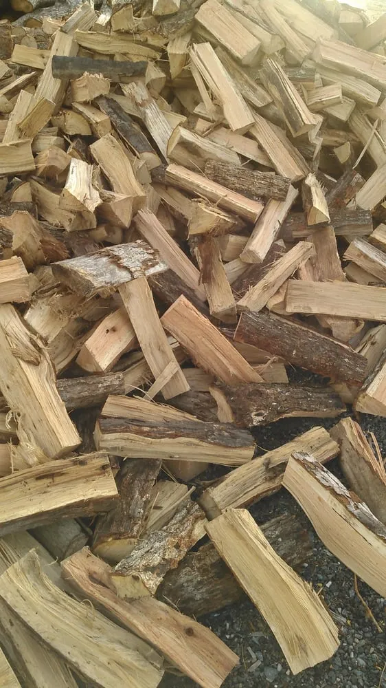 Professional landscaping services in Cambridge, MD - Marshall Professional Property Management