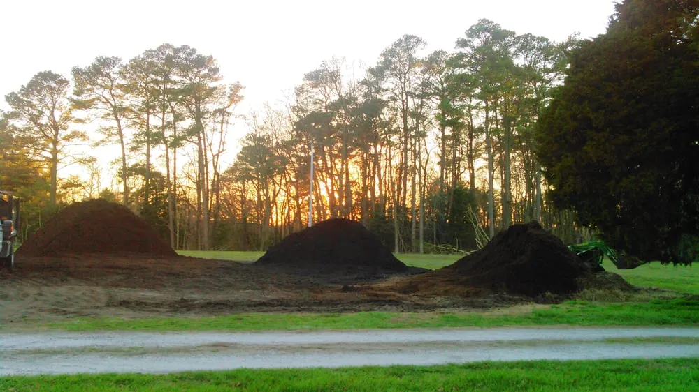 Affordable landscape design with custom design across Cambridge, MD - Marshall Professional Property Management