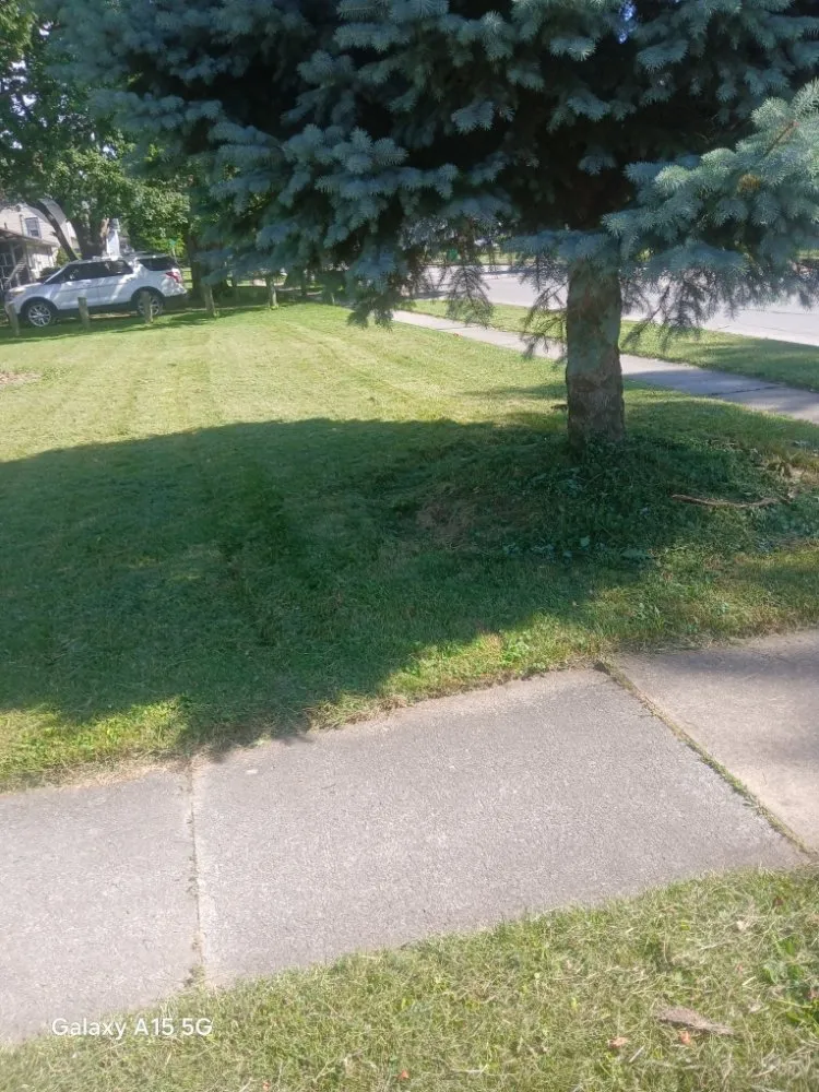 Local landscape installation with custom design in Galion, OH by Marshalls Exterior Cleaning