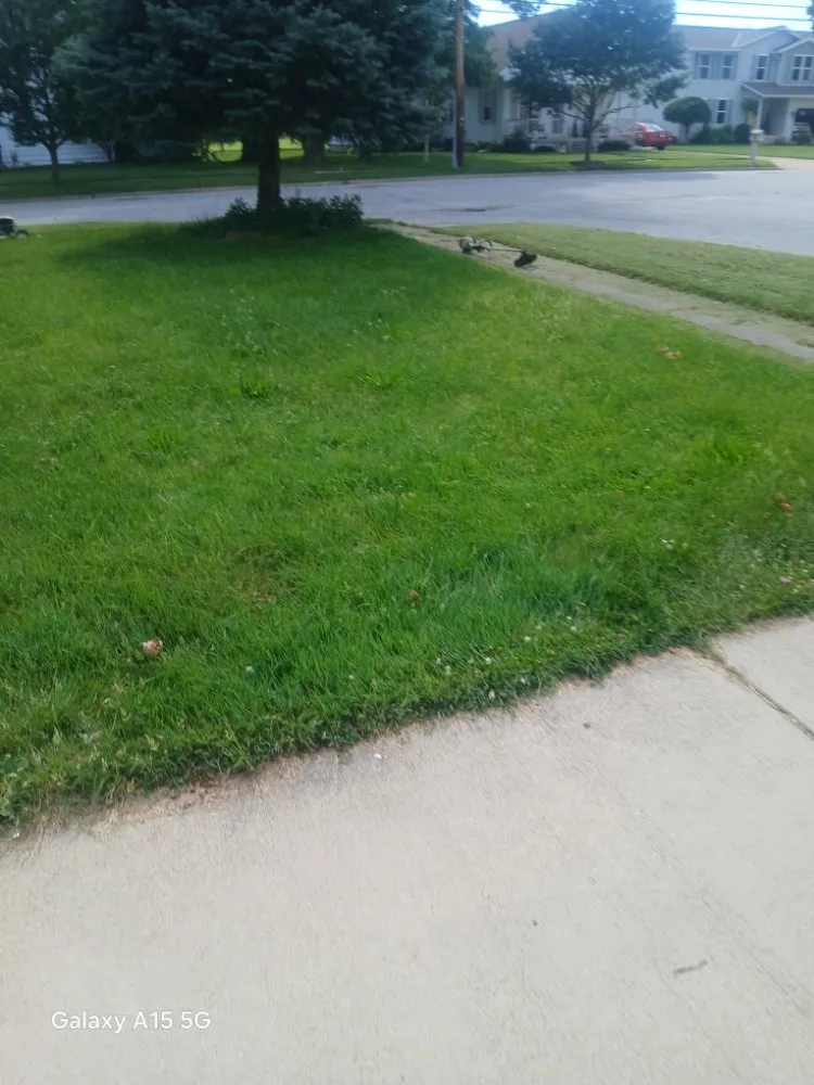 Trusted landscape design experts serving Galion, OH - Marshalls Exterior Cleaning