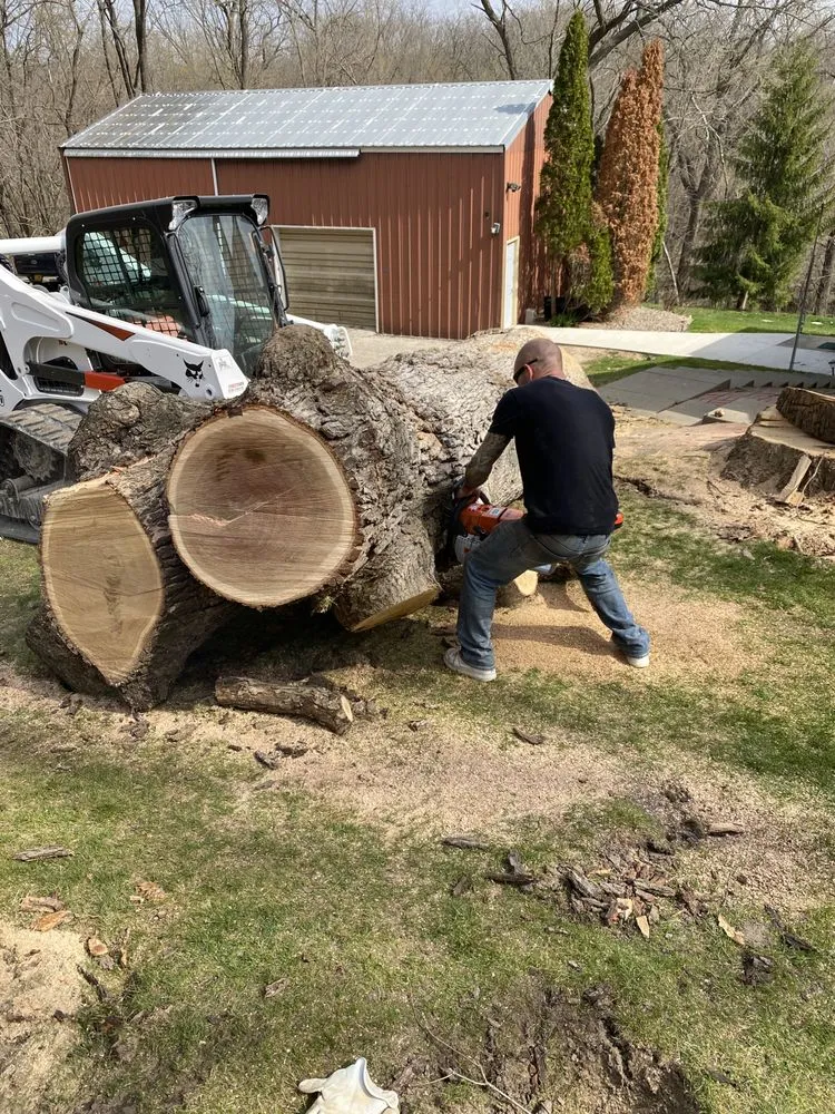 Reliable yard cleanup service in Moline, IL by Marshall’s Landscaping