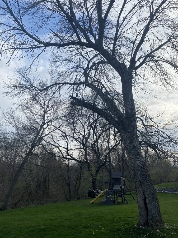 Professional lawn mowing service in Moline, IL by Marshall’s Landscaping