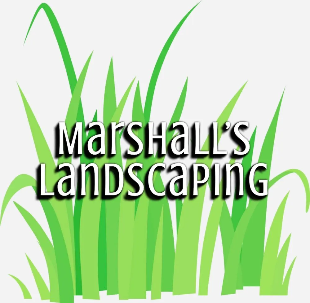 Top-rated yard cleanup service experts serving Yadkinville, NC - Marshall’s Landscaping
