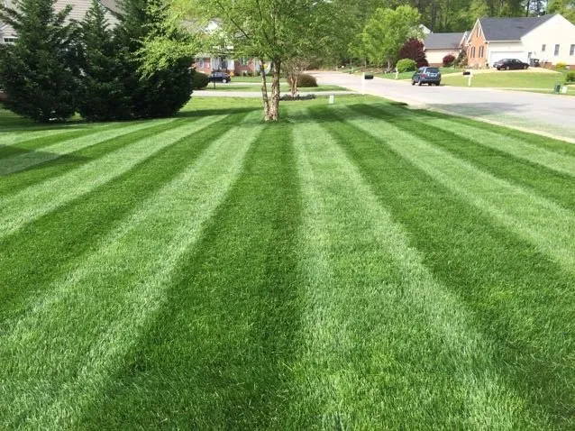 Reliable landscaping services for outdoor upgrades in Mechanicsville, VA by Marshall's Lawn & Landscape