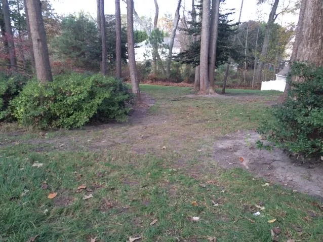 Top-rated outdoor landscaping in Mechanicsville, VA - Marshall's Lawn & Landscape