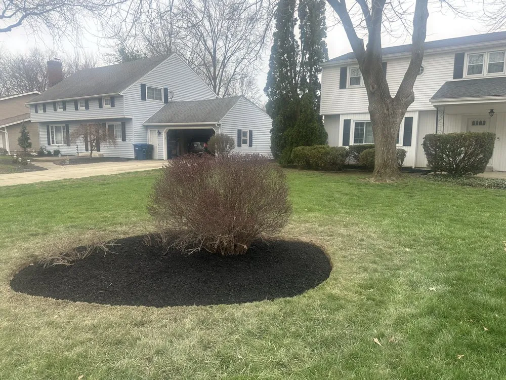 Professional lawn care service in Lorain, OH - Marshall's Lawn Service