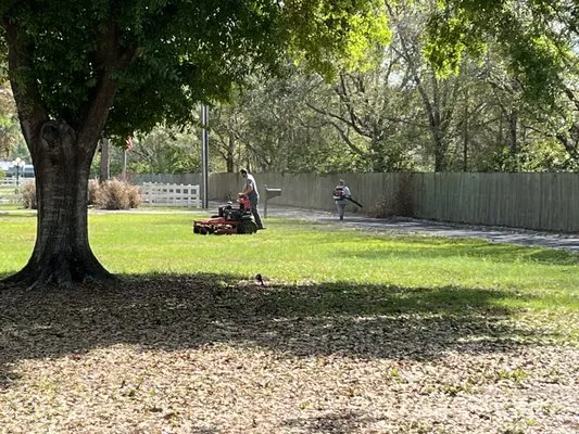 Marshalls Lawn Service Logo