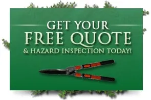 Custom lawn mowing service for beautiful yards across Davie, FL - Marshall’s Tree Service And Landscaping