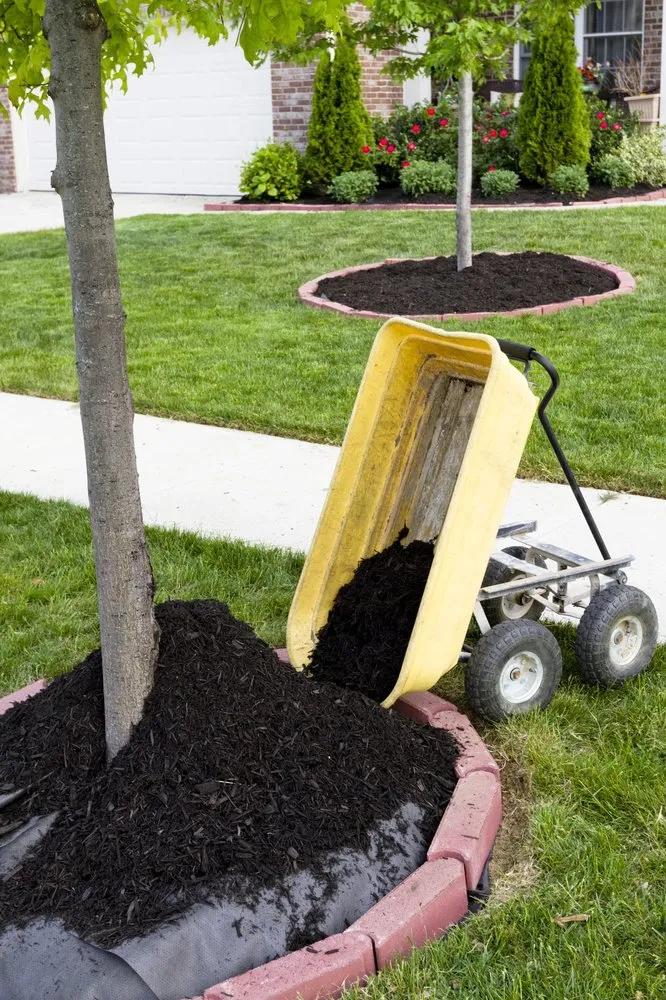 Affordable landscape design in Davie, FL - Marshall’s Tree Service And Landscaping