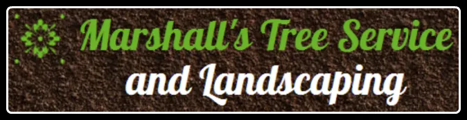 Expert lawn mowing service in Davie, FL by Marshall’s Tree Service And Landscaping
