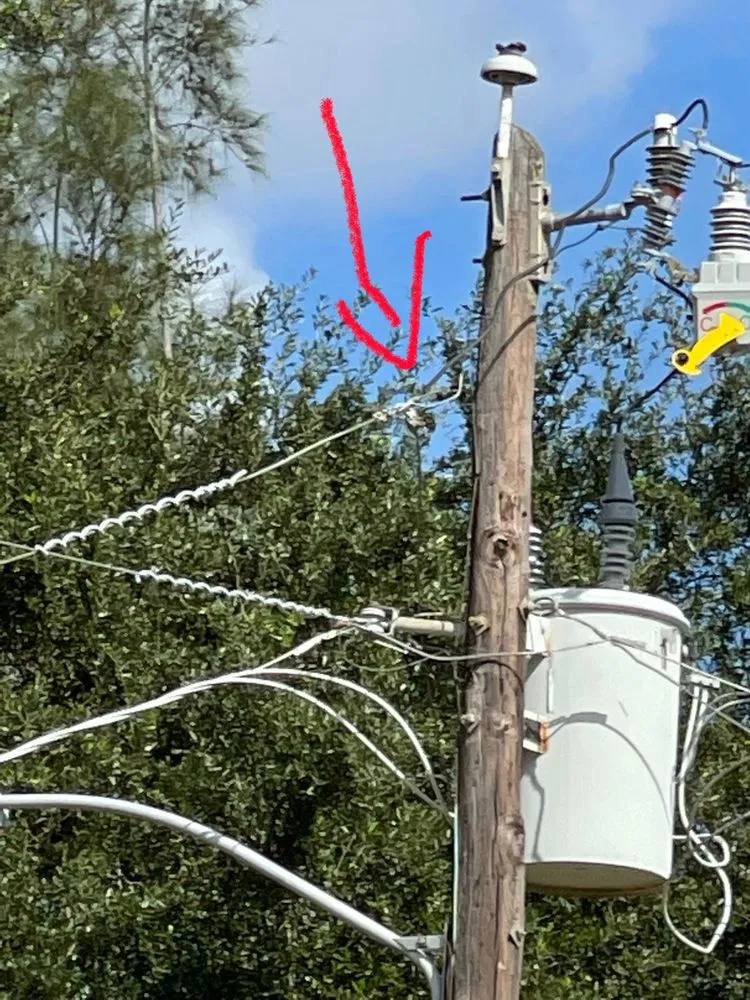 Top-rated garden landscaping in Davie, FL by Marshall’s Tree Service And Landscaping