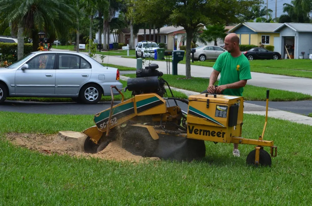Reliable garden landscaping experts serving Davie, FL - Marshall’s Tree Service And Landscaping