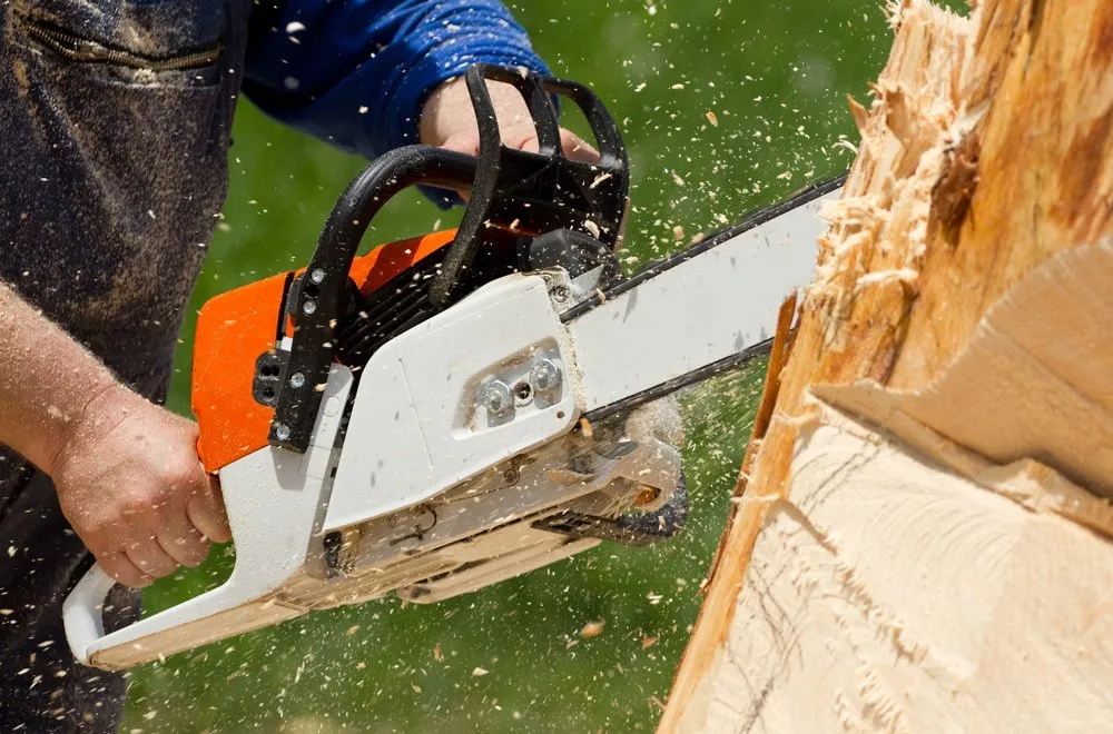 Affordable yard cleanup service experts serving Davie, FL - Marshall’s Tree Service And Landscaping