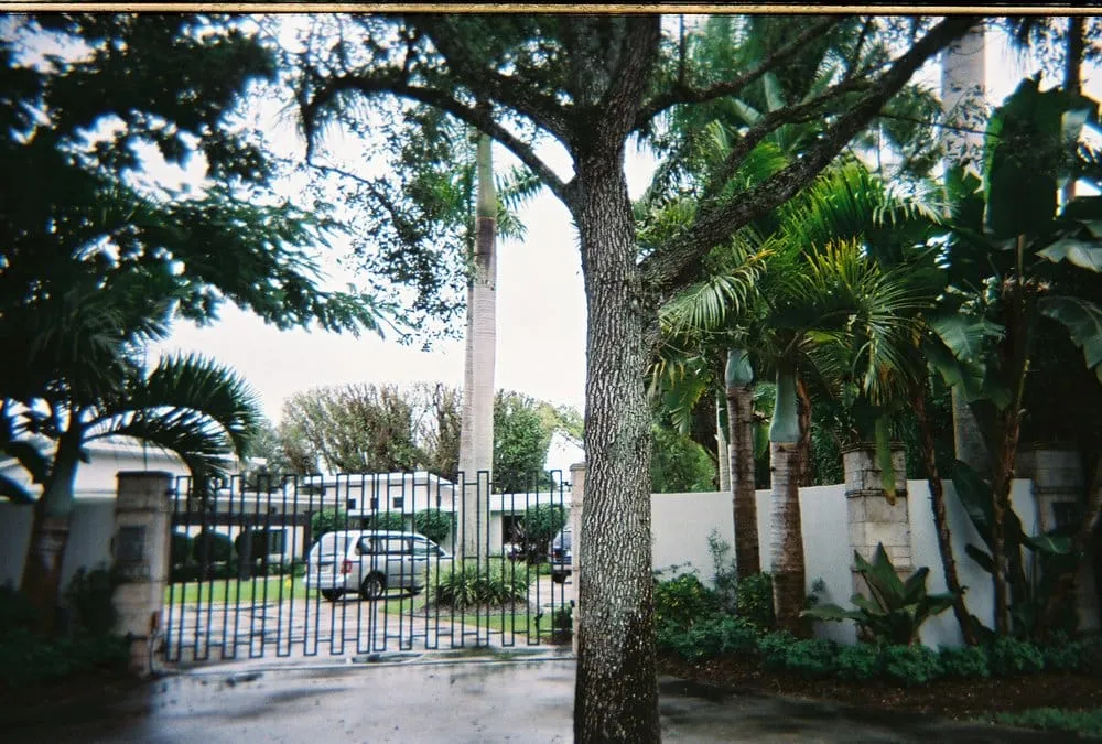 Reliable lawn care service in Hollywood, FL by Marshall's Tree Service