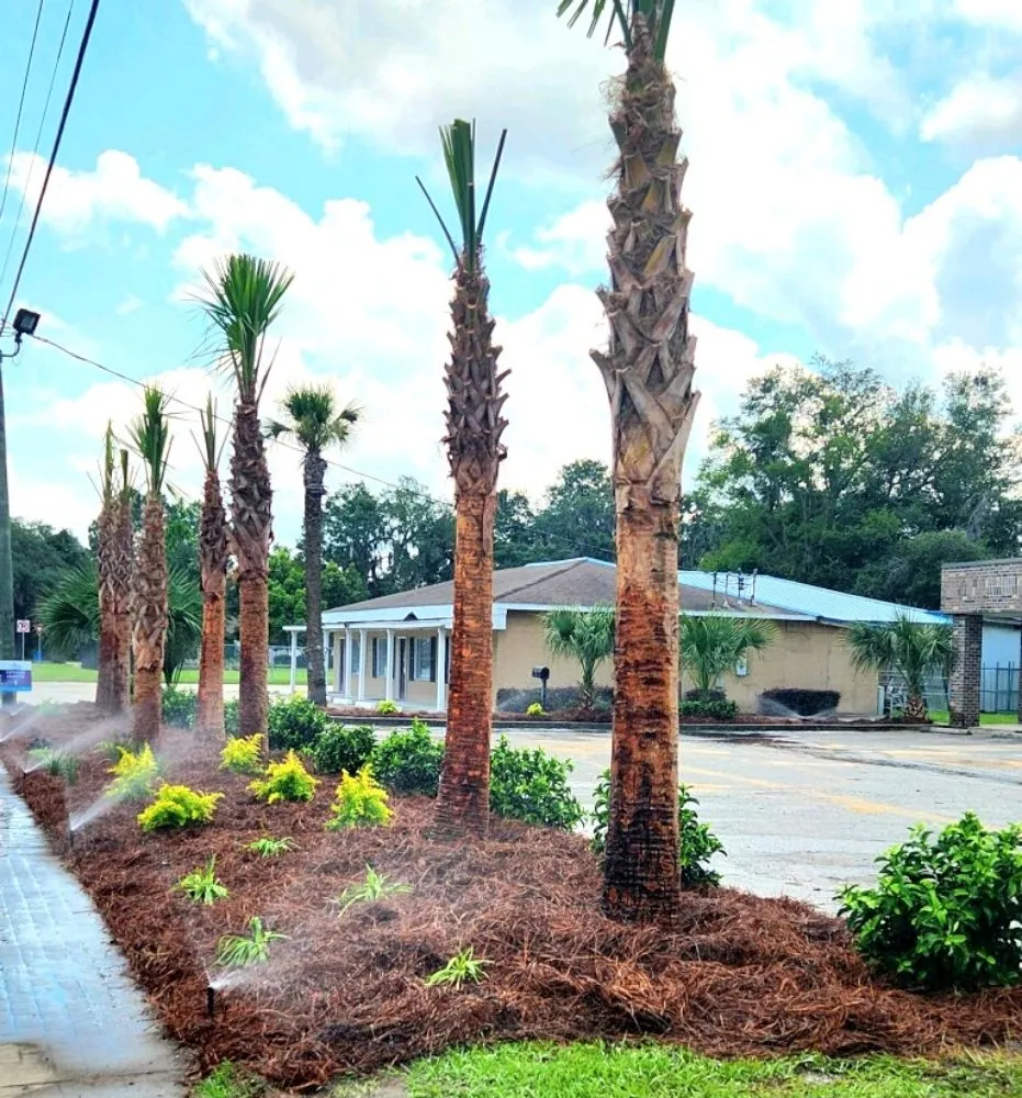 Affordable residential landscaping experts serving Brunswick, GA - Marshes and Moss Landscape and Design