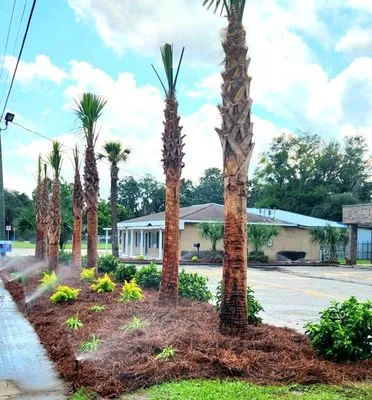 Marshes and Moss Landscape and Design Logo