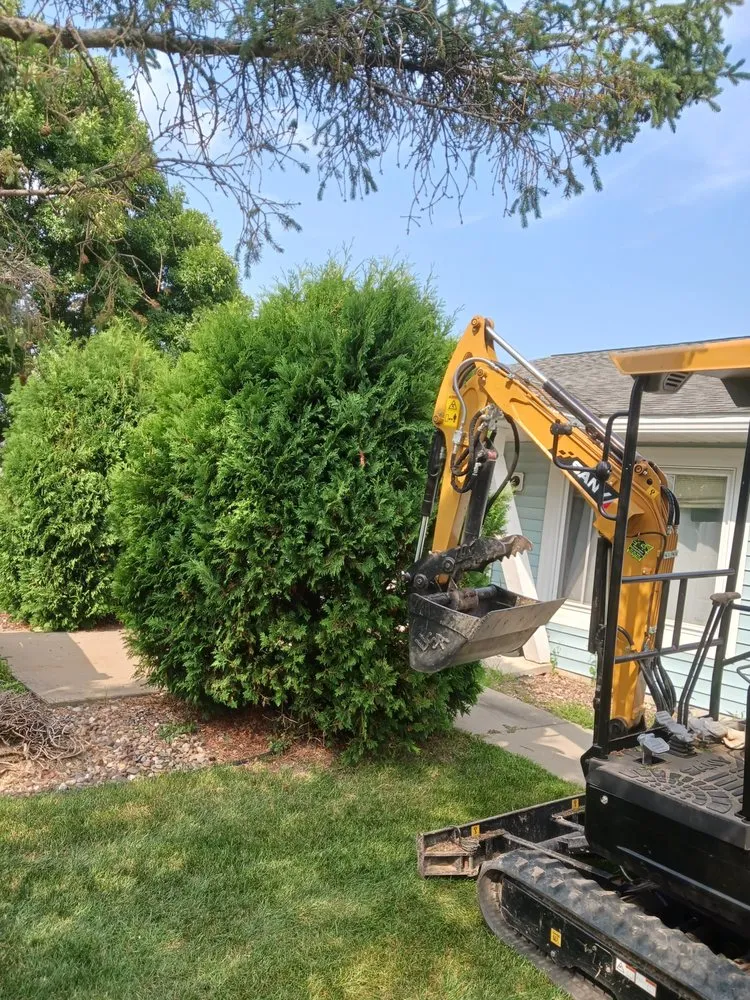 Top-rated lawn mowing service experts serving Marshfield, WI - Marshfield Removal