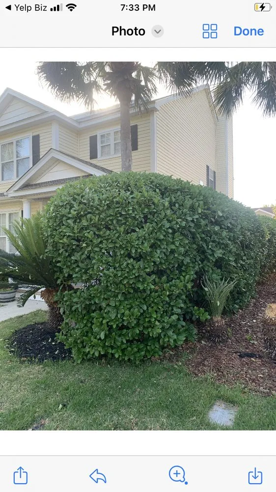 Expert residential landscaping for beautiful yards across Bluffton, SC - Marshland Mowing Services