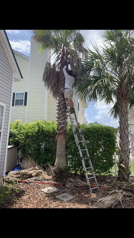 Top-rated lawn care service experts serving Bluffton, SC - Marshland Mowing Services