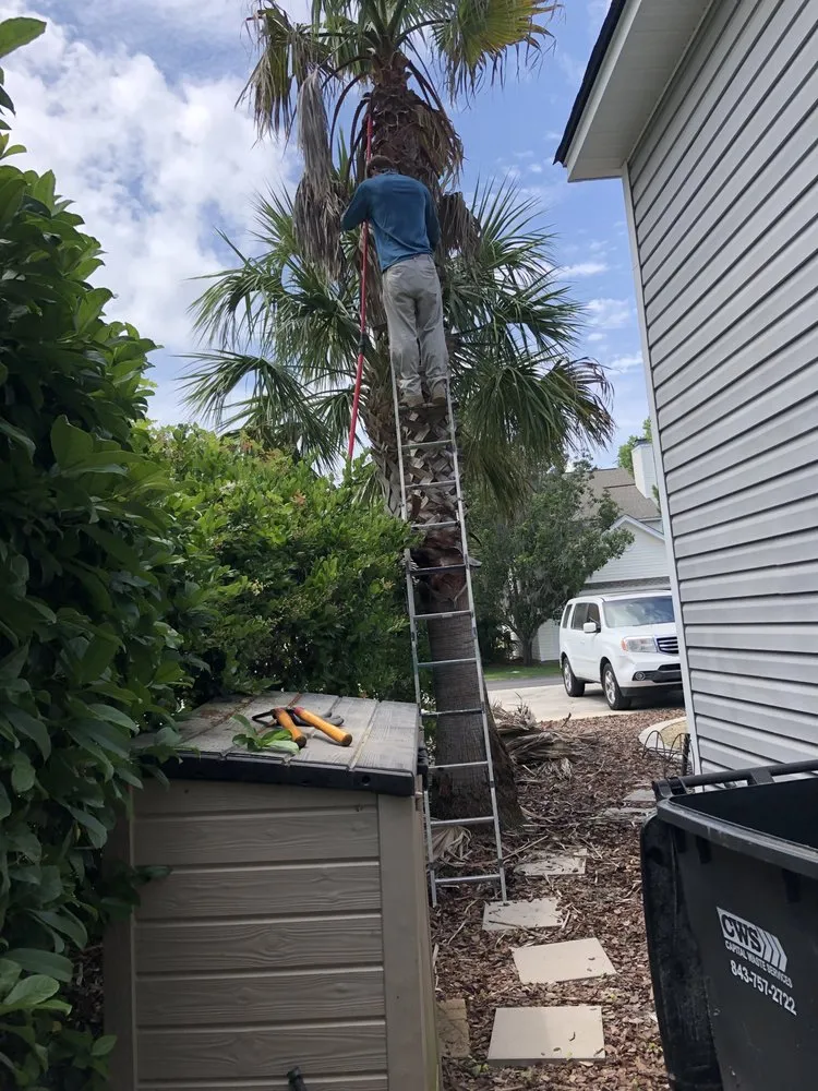 Affordable lawn care service in Bluffton, SC - Marshland Mowing Services